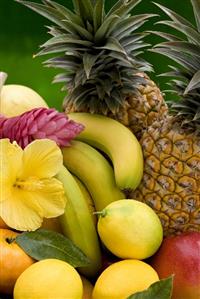 Assorted tropical fruit with hibiscus flower