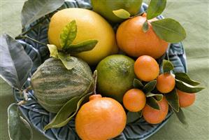 Assorted citrus fruit with leaves