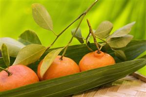 Tangerines on palm leaf