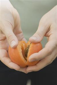 Halving an apricot