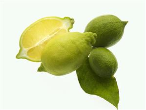 Halved lemon and two limes