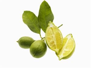 Halved lemon and two limes with stalk and leaves