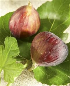 Two figs on a leaf