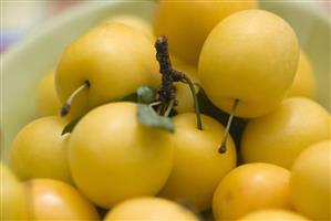 Fresh mirabelles in a dish