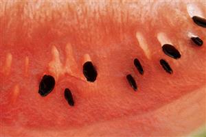 A slice of watermelon (close-up)