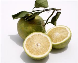 Whole and halved tangerines