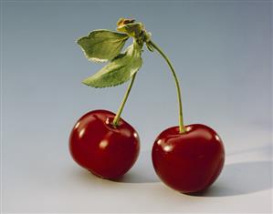 Pair of cherries with leaves and stalks