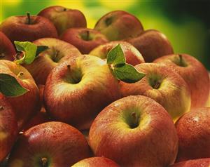 Red apples with leaves