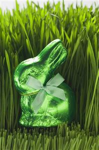 Green Easter Bunny in grass