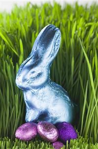 Easter Bunny and chocolate eggs in grass