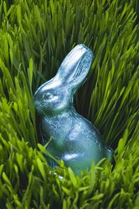 Easter Bunny in grass