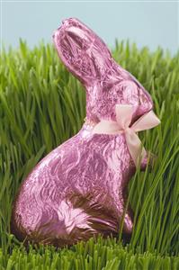 Easter Bunny in grass