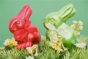 Red and green Easter Bunnies in grass with spring flowers