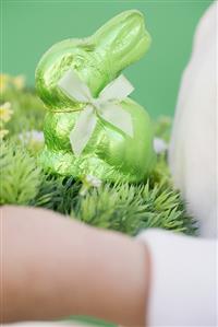 Child's hands holding green Easter Bunny on grass