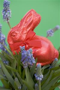 Red Easter Bunny among spring flowers