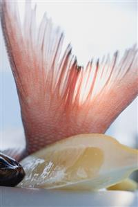 Tail of red snapper with lemon wedge