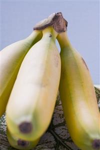 Plantains (close-up)