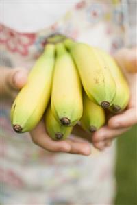 Child's hands holding bunch of bananas