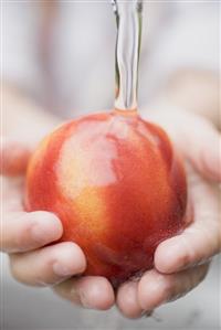 Child's hands holding nectarine under running water