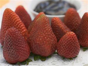 Fresh strawberries, chocolate sauce in background