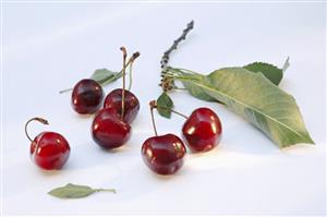 Cherries with leaves