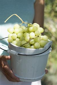 Woman holding green grapes in a wooden bucket