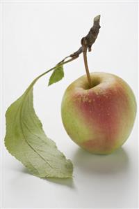 Red apple with stalk and leaves