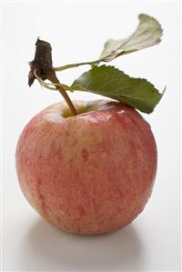 Red apple with stalk and leaves