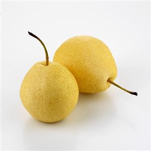 Two Nashi pears