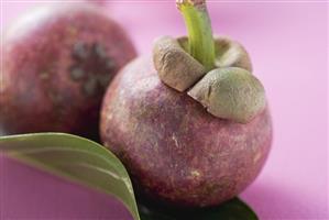 Two mangosteens with leaf