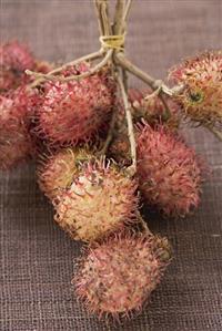 Rambutans on stalks