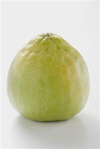 Pomelo