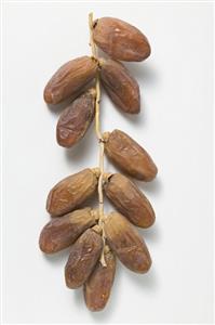 Dates on the stalk