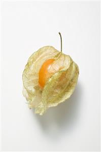 Physalis with husk