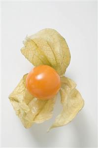 Physalis with husk