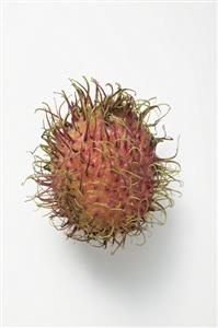 Rambutan