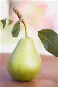 Green pear with stalk and leaves