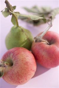 Pear and two apples with stalks and leaves (overhead view)