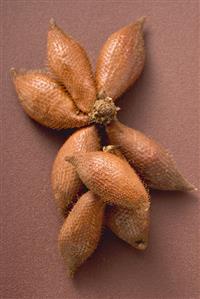 Salak fruits on brown background