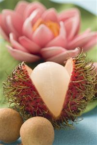 Rambutan (cut open), longans, water lily in background