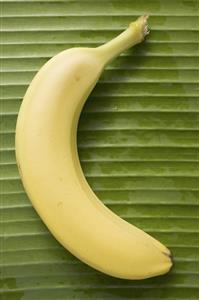 A banana on leaf