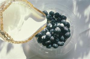 Pouring Cream over Fresh Blueberries