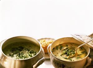 Lettuce soup from Belgium & green bean soup from Luxembourg