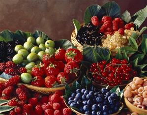 Berry Still Life