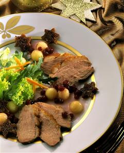 Sliced duck breast with cranberry and melon sauce & salad