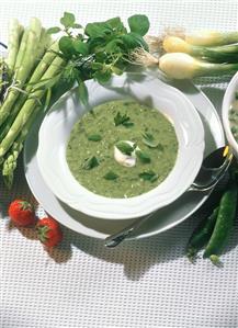 Green Asparagus Soup