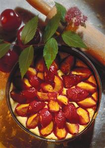 Plum cake in springform tin