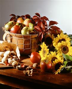 Apples in a Basket with Sunflowers and Nuts