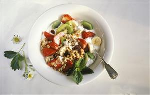 A Bowl of Muesli with Mixed Fruit