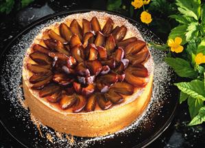 Quark tart with plums